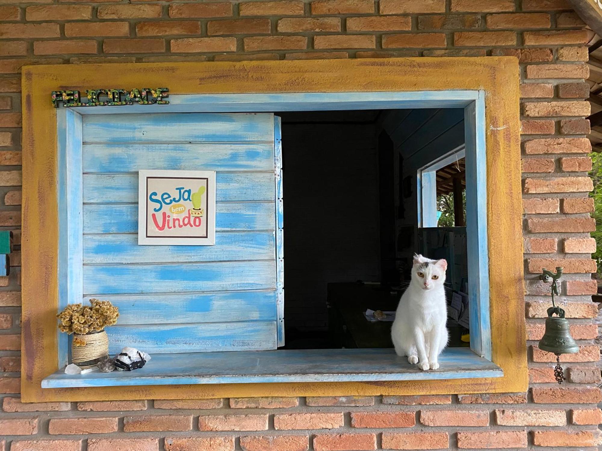 Refugio Do Corsario-Imbassai-Ba Otel Dış mekan fotoğraf